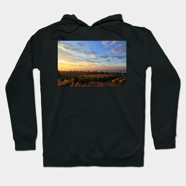Sunrise over Grape Orchards and Immenstaad - Lake Constance Hoodie by holgermader